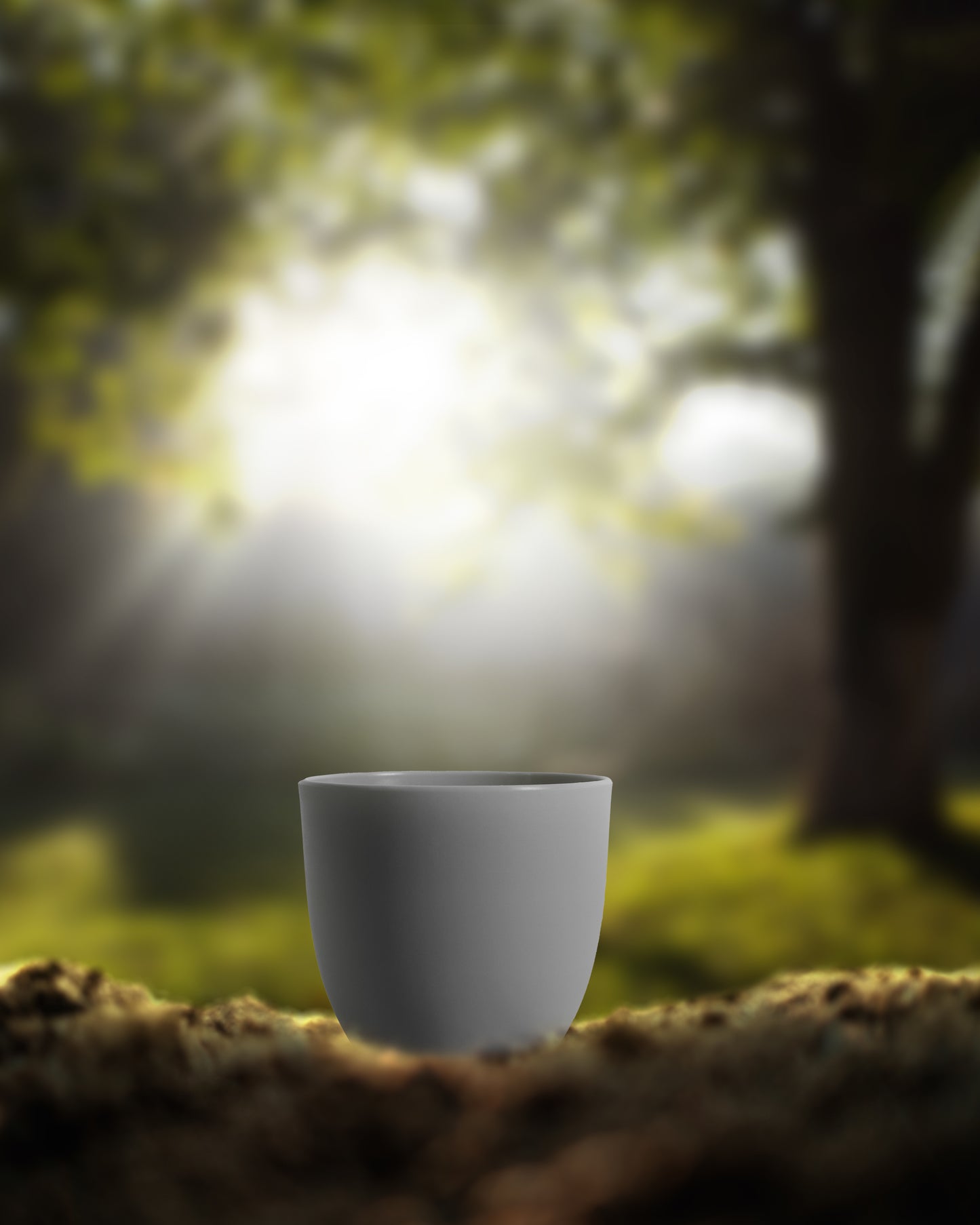 White Plant Pot Diameter 8 Inch