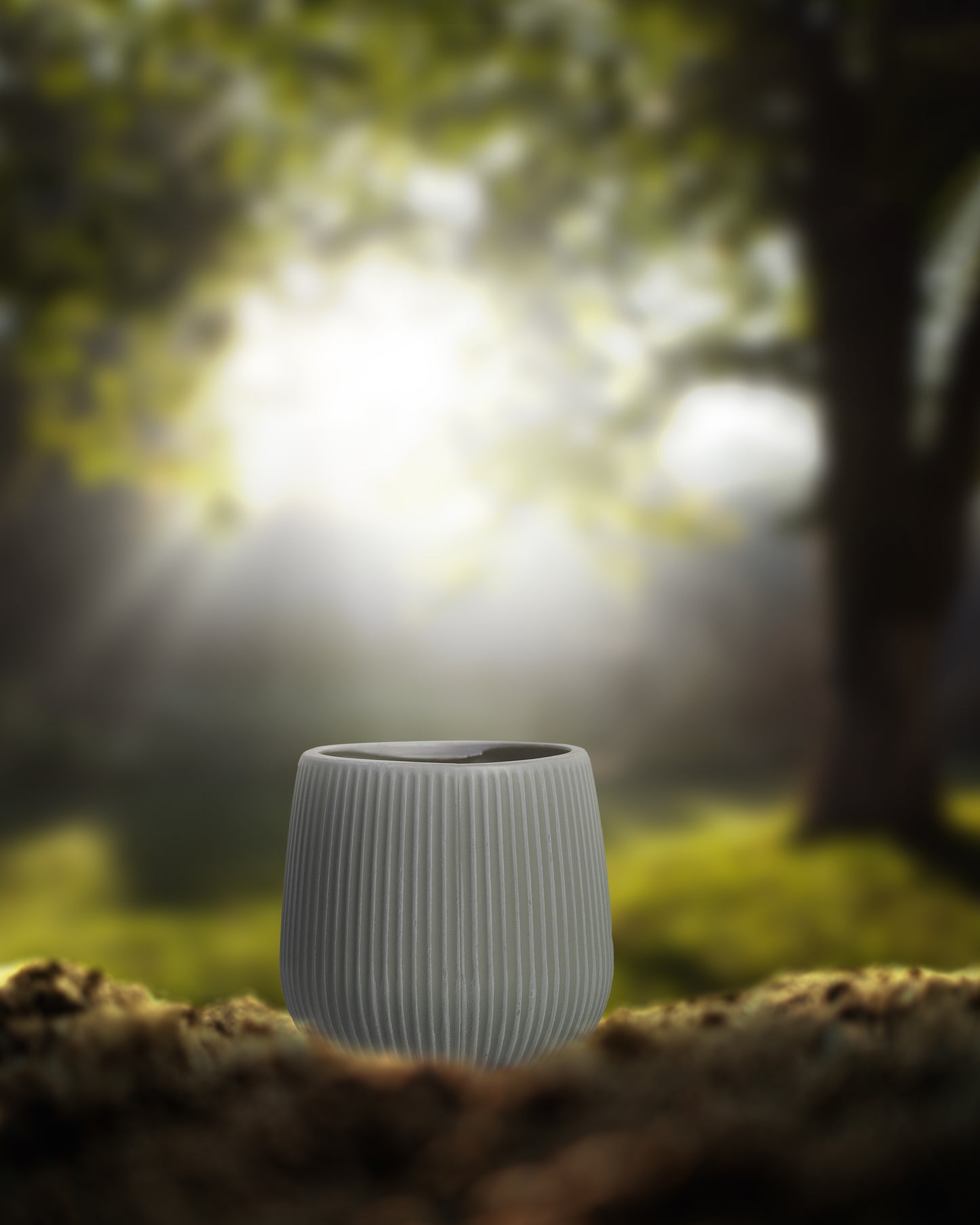 White And Black Plant Pot Diameter 5 Inch