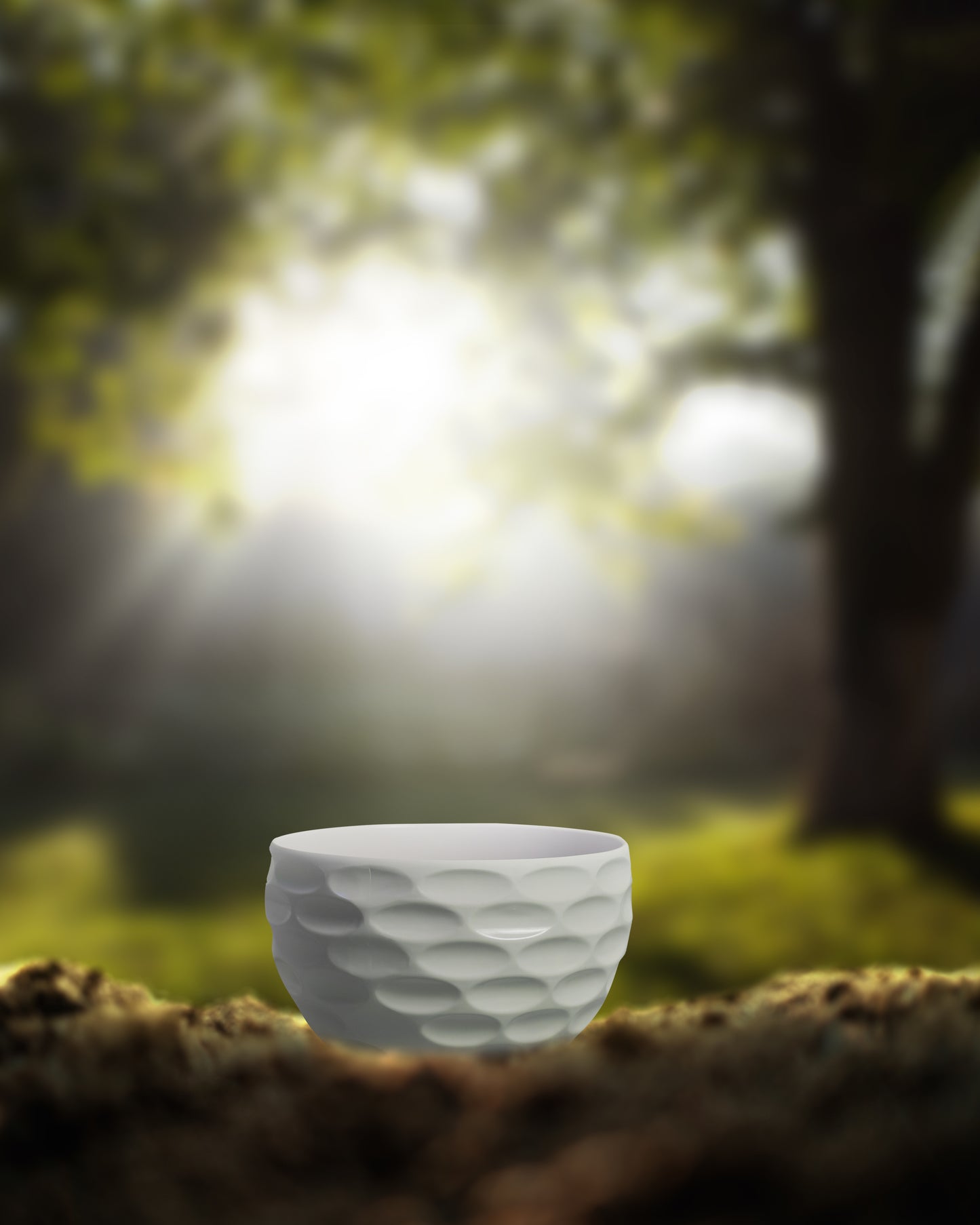 White Plant Pot Diameter 8 Inch