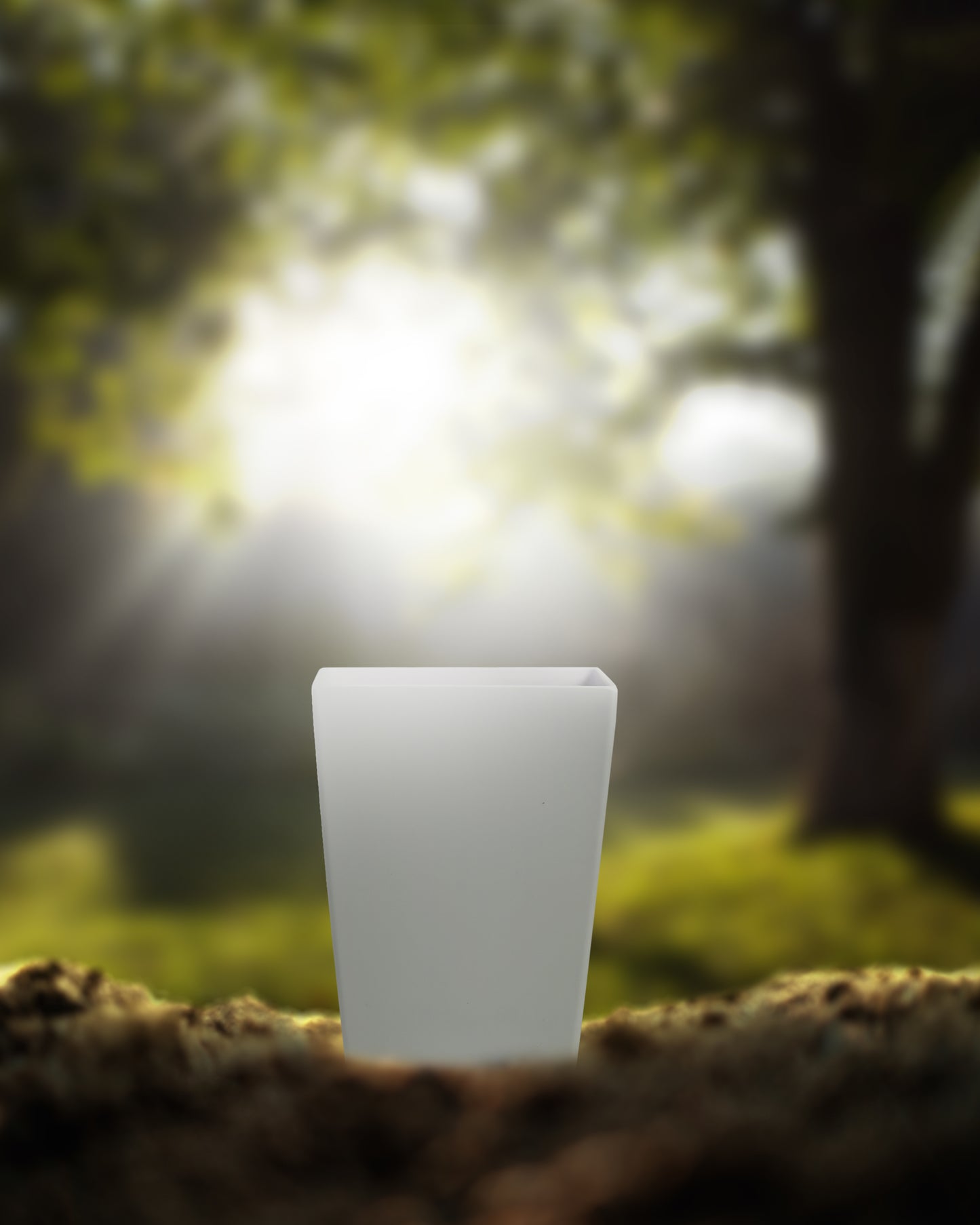 White Plant Pot Diameter 7 Inch
