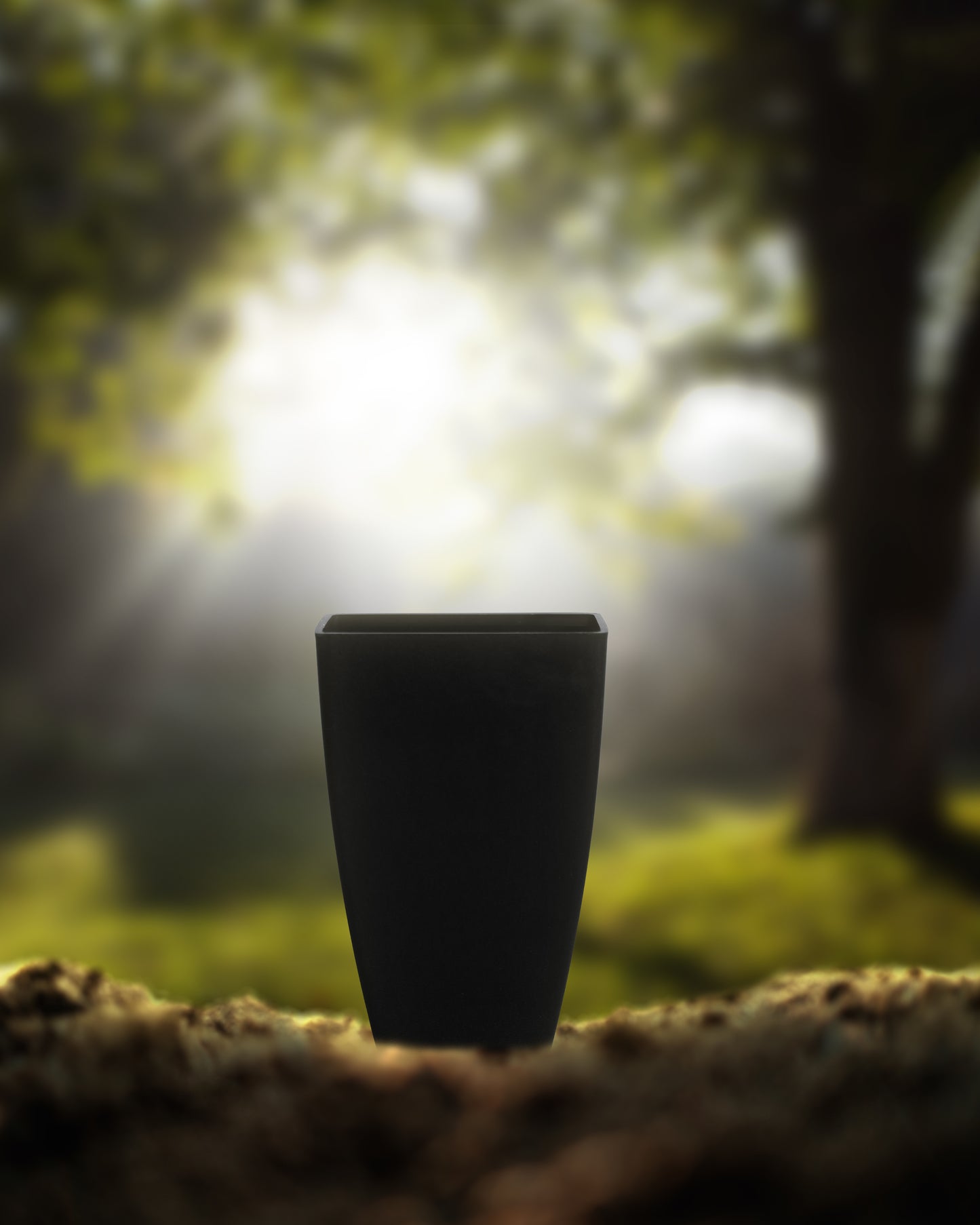 Black Plant Pot Diameter 6 Inch