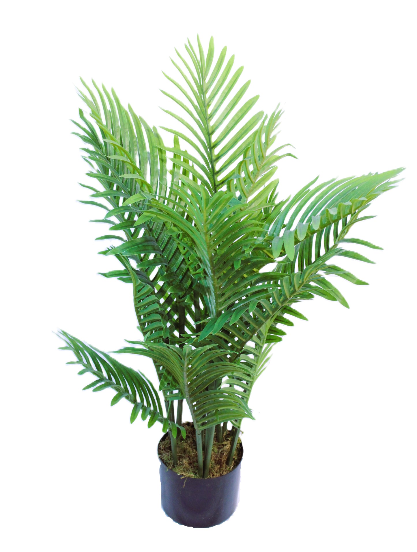 Artificial Areca Palm Tree (2.6 Feet High) 15 LEAVES