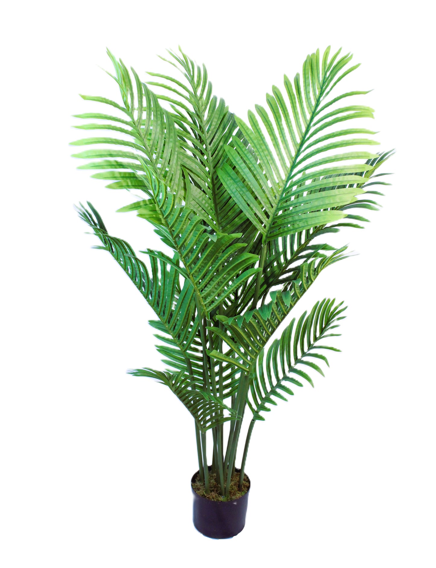 Artificial Areca Palm Tree (4 Feet High) 15 Leaves