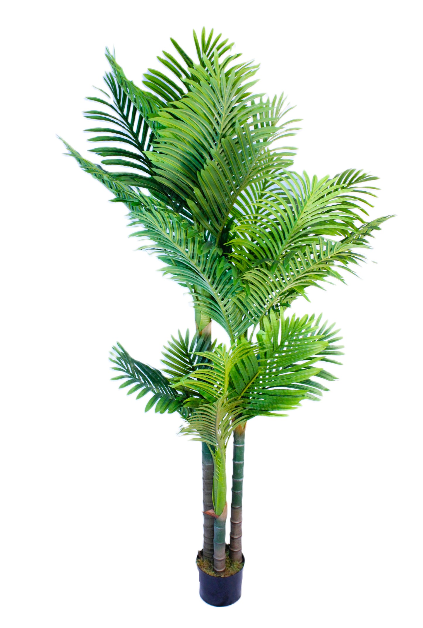 Artificial Golden Cane Palm Tree (6 Feet High) 3 TRUNKS 24 LEAVES