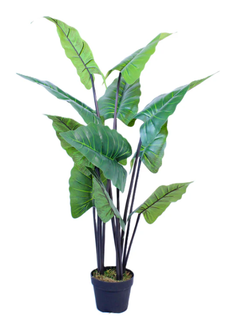 Artificial Taro Plant (4 Feet)