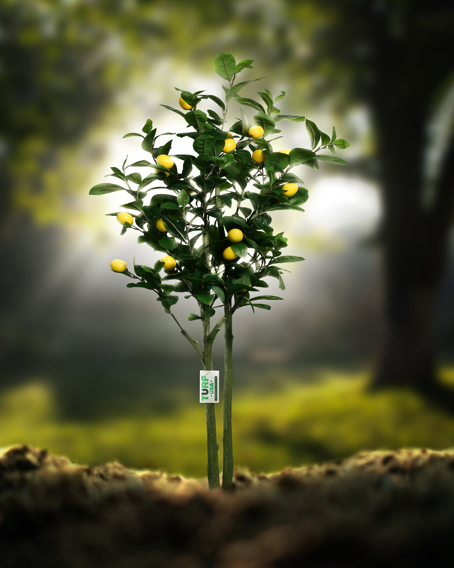 Artificial Lemon Tree (5 Feet )