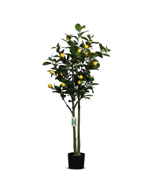 Artificial Lemon Tree (5 Feet )