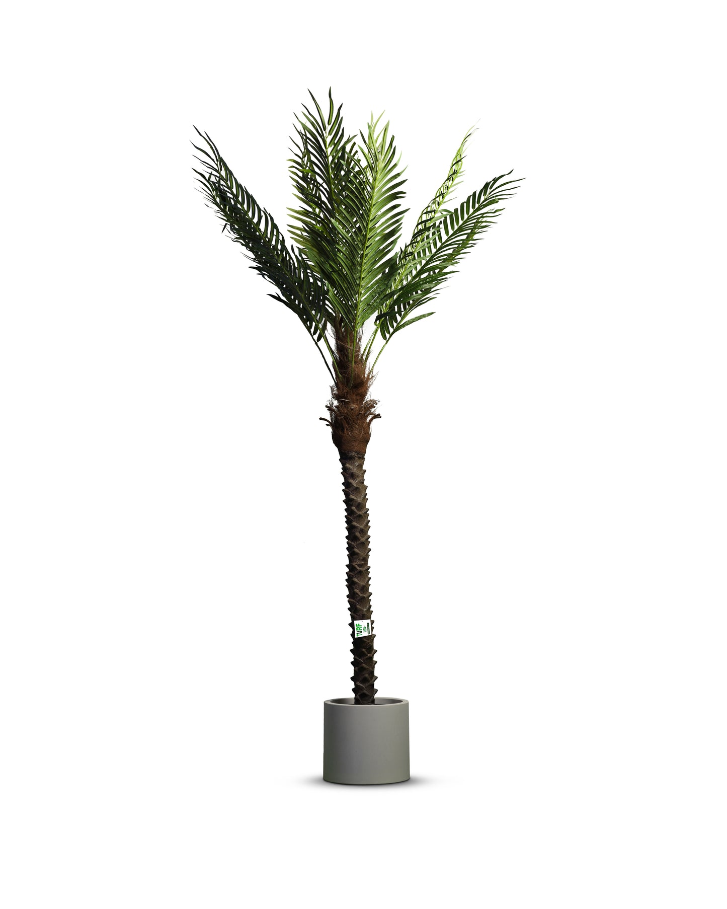 Artificial Palm Tree (7 Feet)