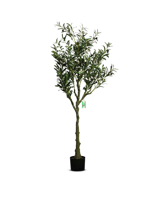 Artificial Olive Tree (4 Feet)