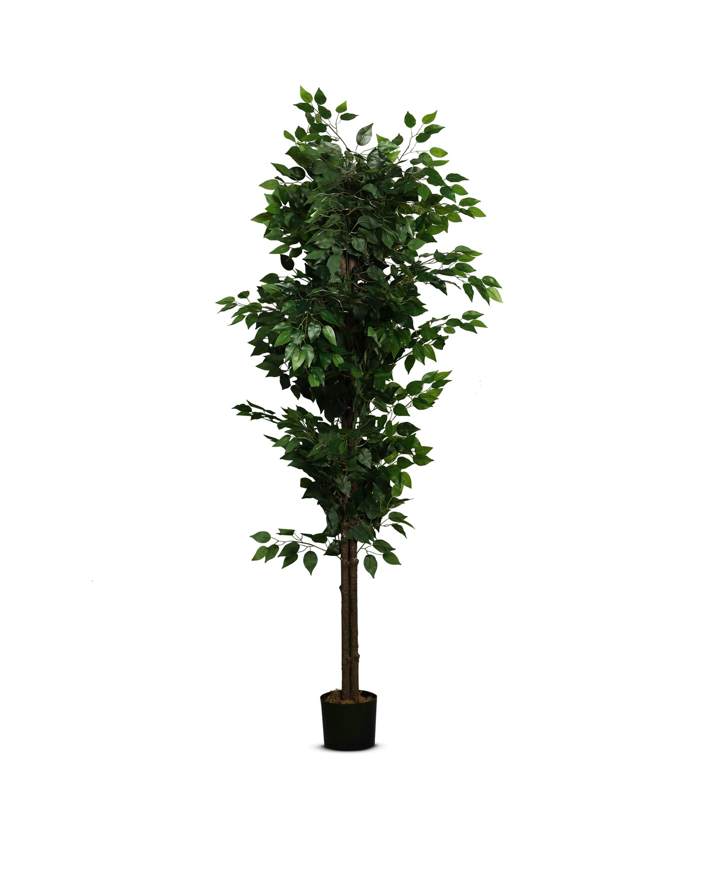 Artificial Ficus Tree (6 Feet)