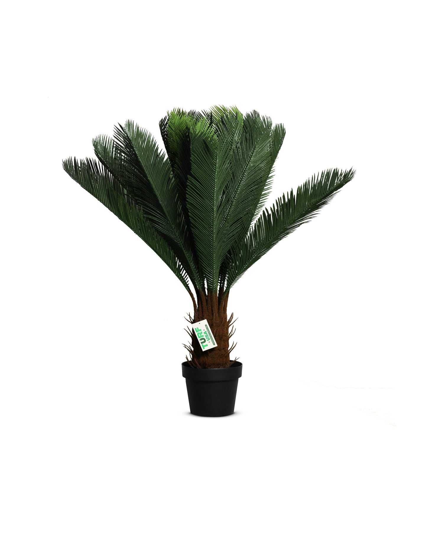 Artificial Cycas Revoluta (3.6 Feet )