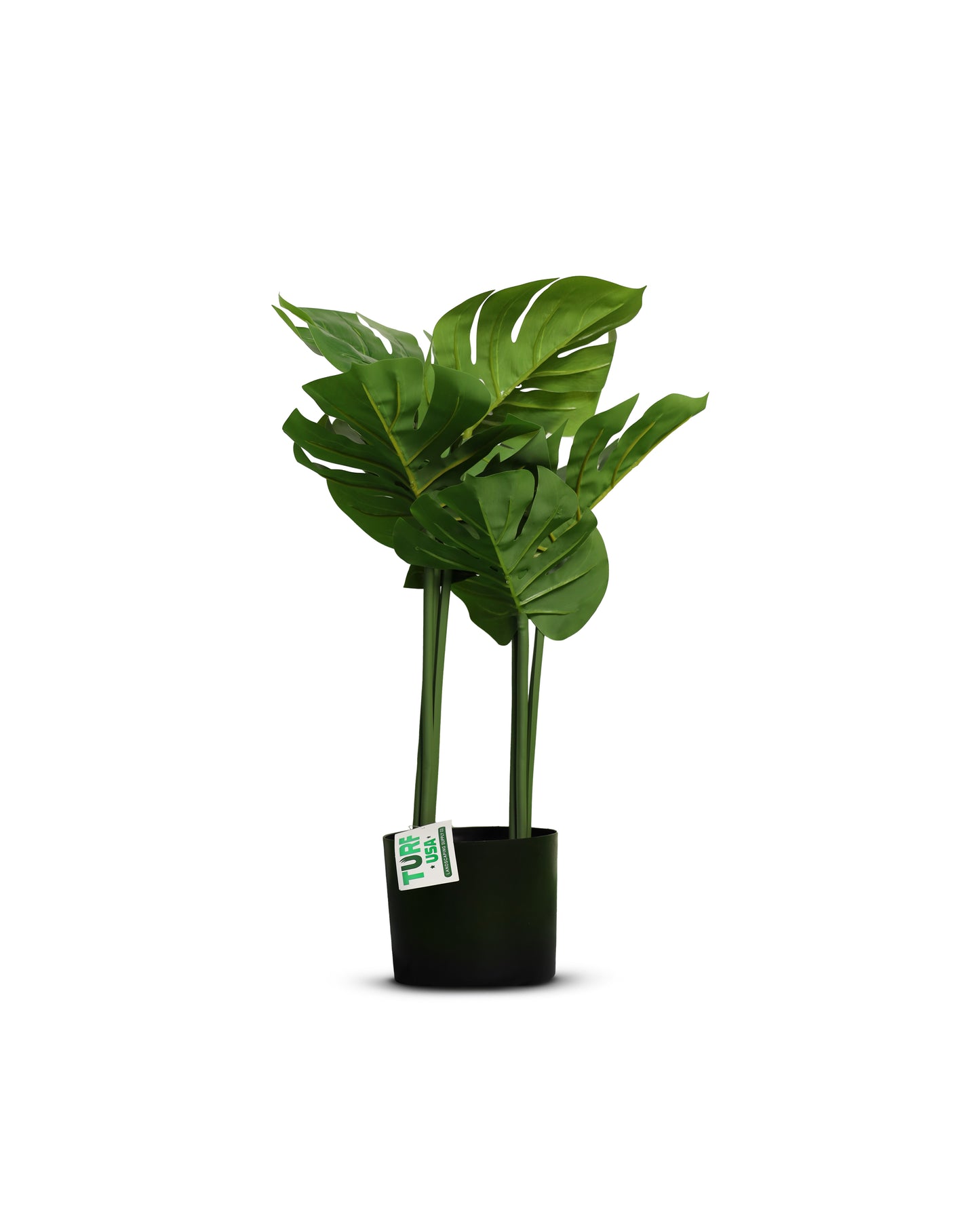 Artificial Monstera Plant (2 Feet )