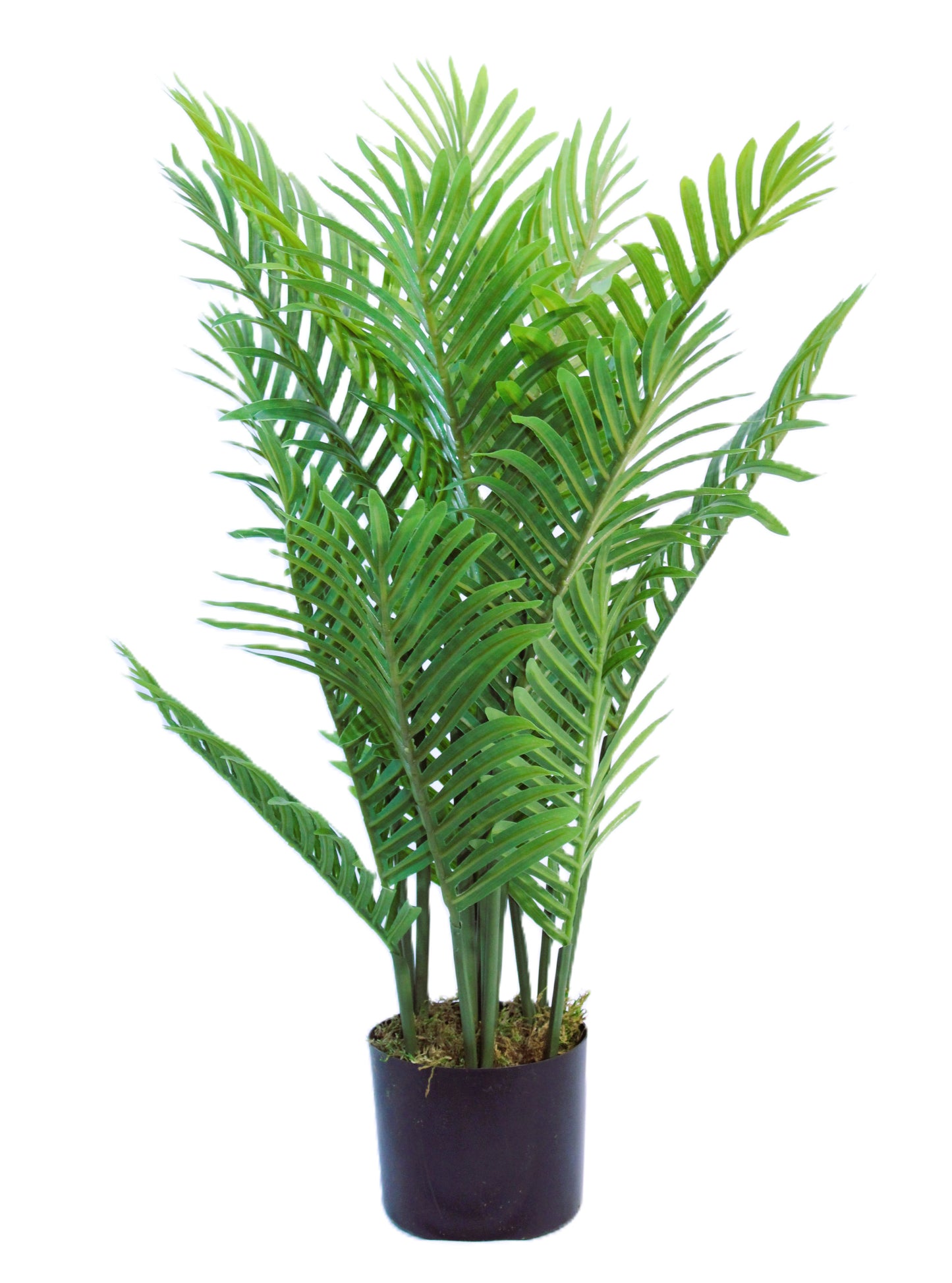 Artificial Areca Palm Tree (2.6 Feet High) 15 LEAVES