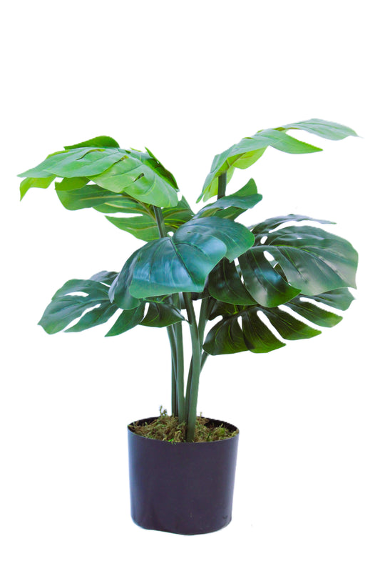 Artificial Monstera Plant (2 Feet high) 7 LEAVES