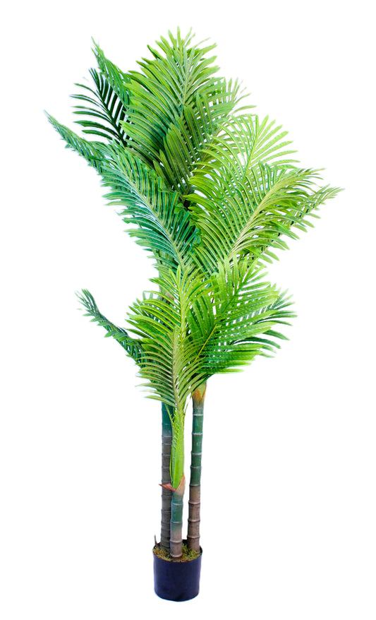 Artificial Golden Cane Palm Tree (6 Feet High) 3 TRUNKS 24 LEAVES